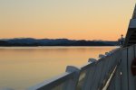 IMG_3528.JPG