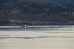 IMG_3529.JPG