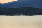 IMG_3533.JPG