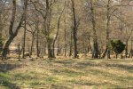 IMG_3606.JPG