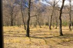 IMG_3609.JPG