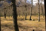 IMG_3610.JPG