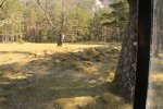 IMG_3614.JPG