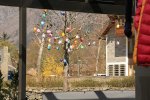 IMG_3657.JPG