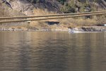 IMG_3663.JPG
