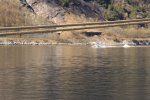 IMG_3664.JPG