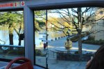 IMG_3764.JPG