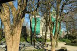 IMG_3767.JPG