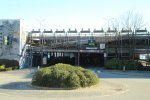 IMG_3768.JPG
