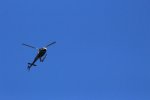 IMG_3839.JPG