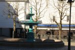 IMG_3881.JPG